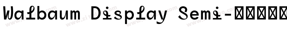 Walbaum Display Semi字体转换